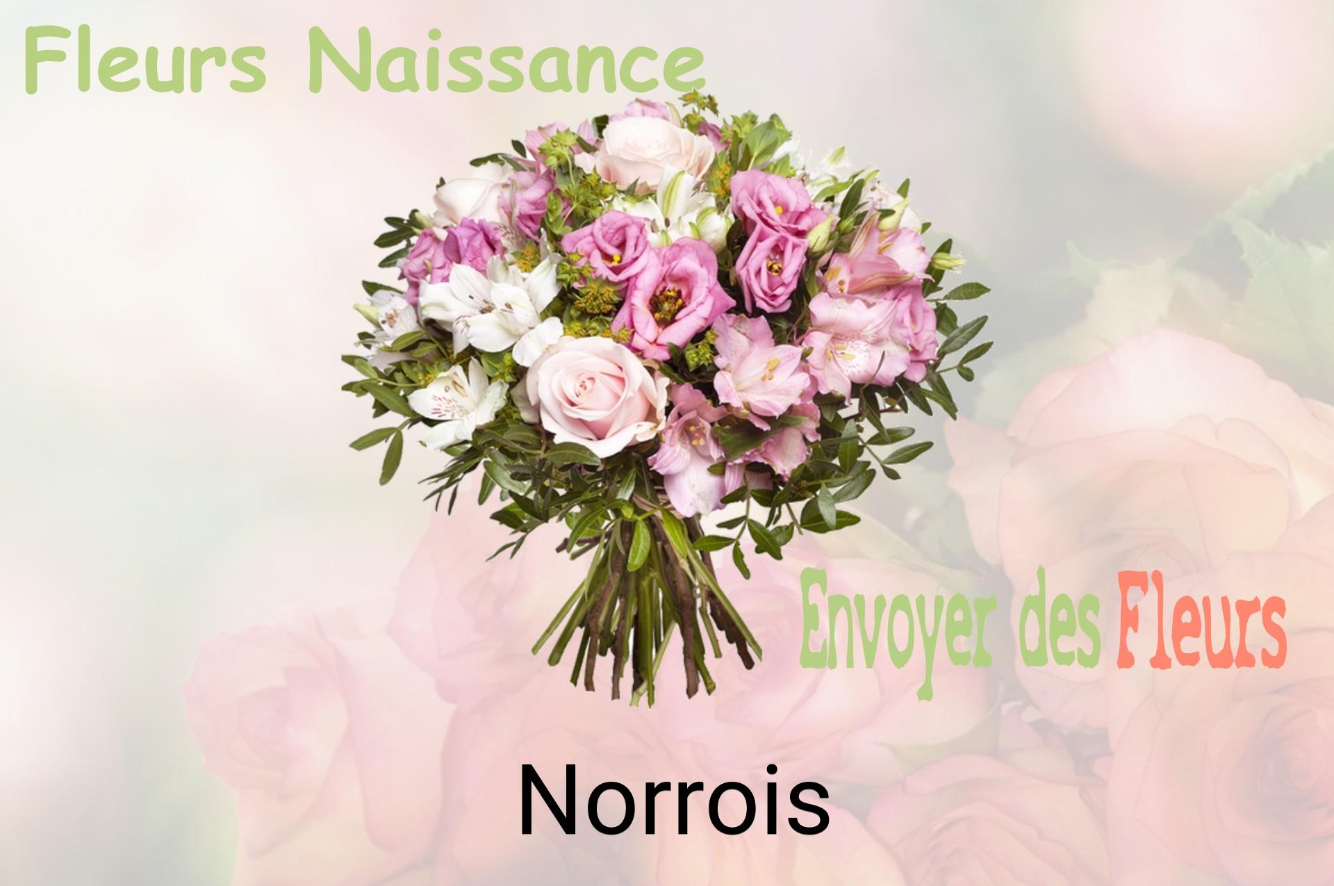 Bouquet de fleurs de naissance livré à Norrois