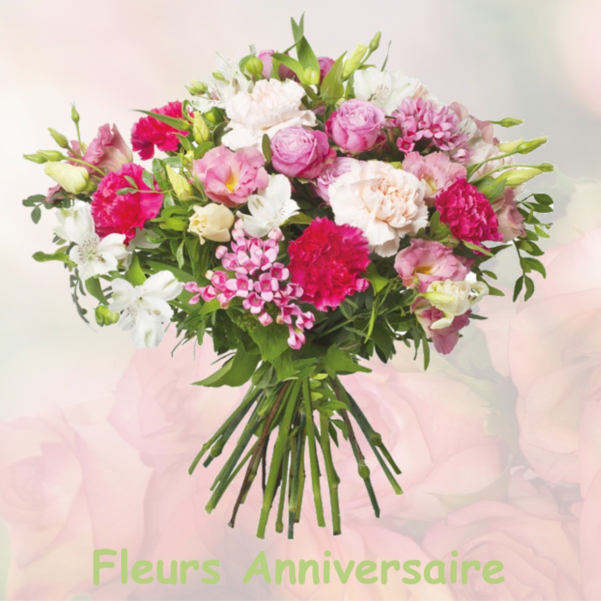 fleurs anniversaire NORROIS