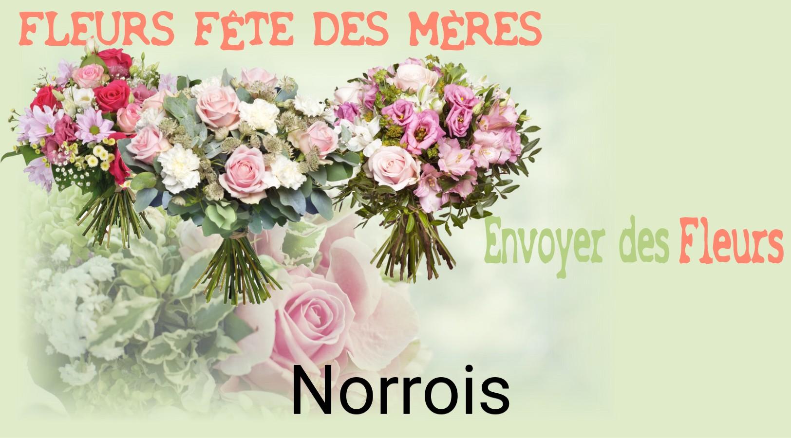 Bouquet de Fête des Mères livré à Norrois